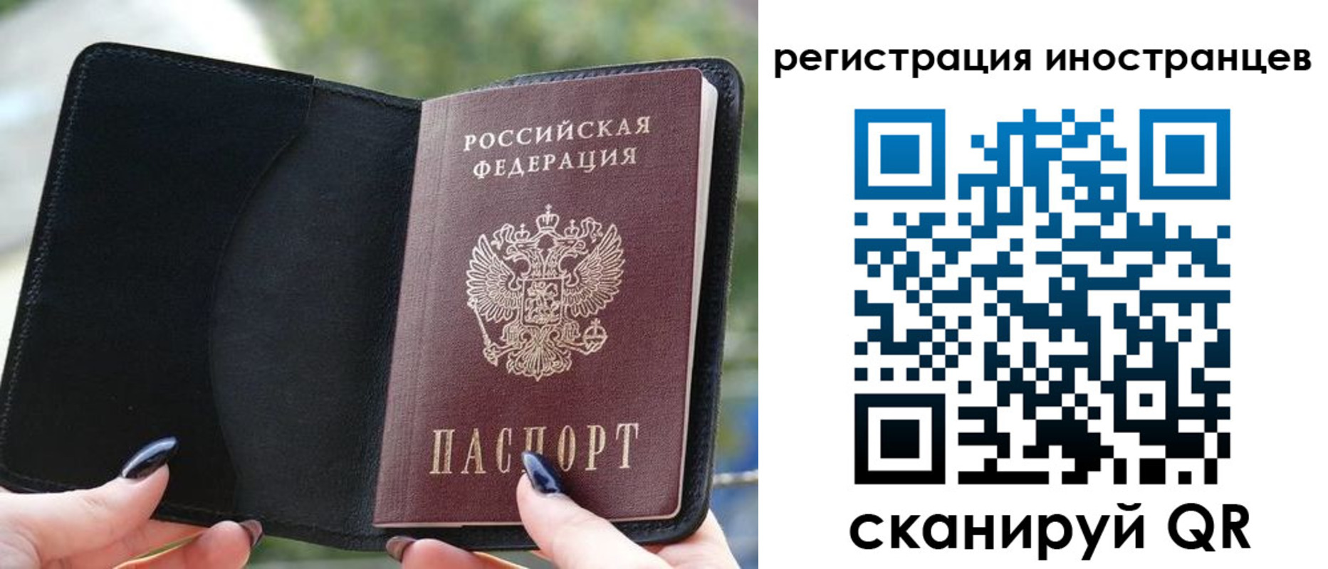 найти адрес прописки в Кондрово